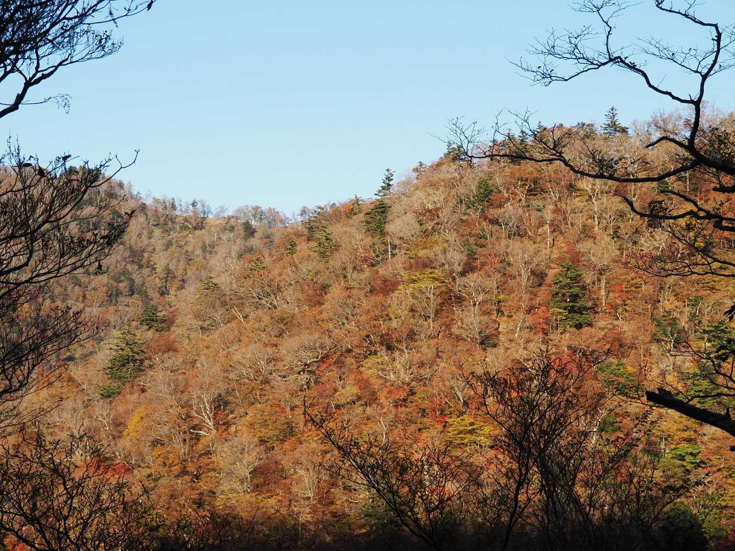弥山登山口-弁天ノ森-聖宝ノ宿跡-弥山 往復コースの写真