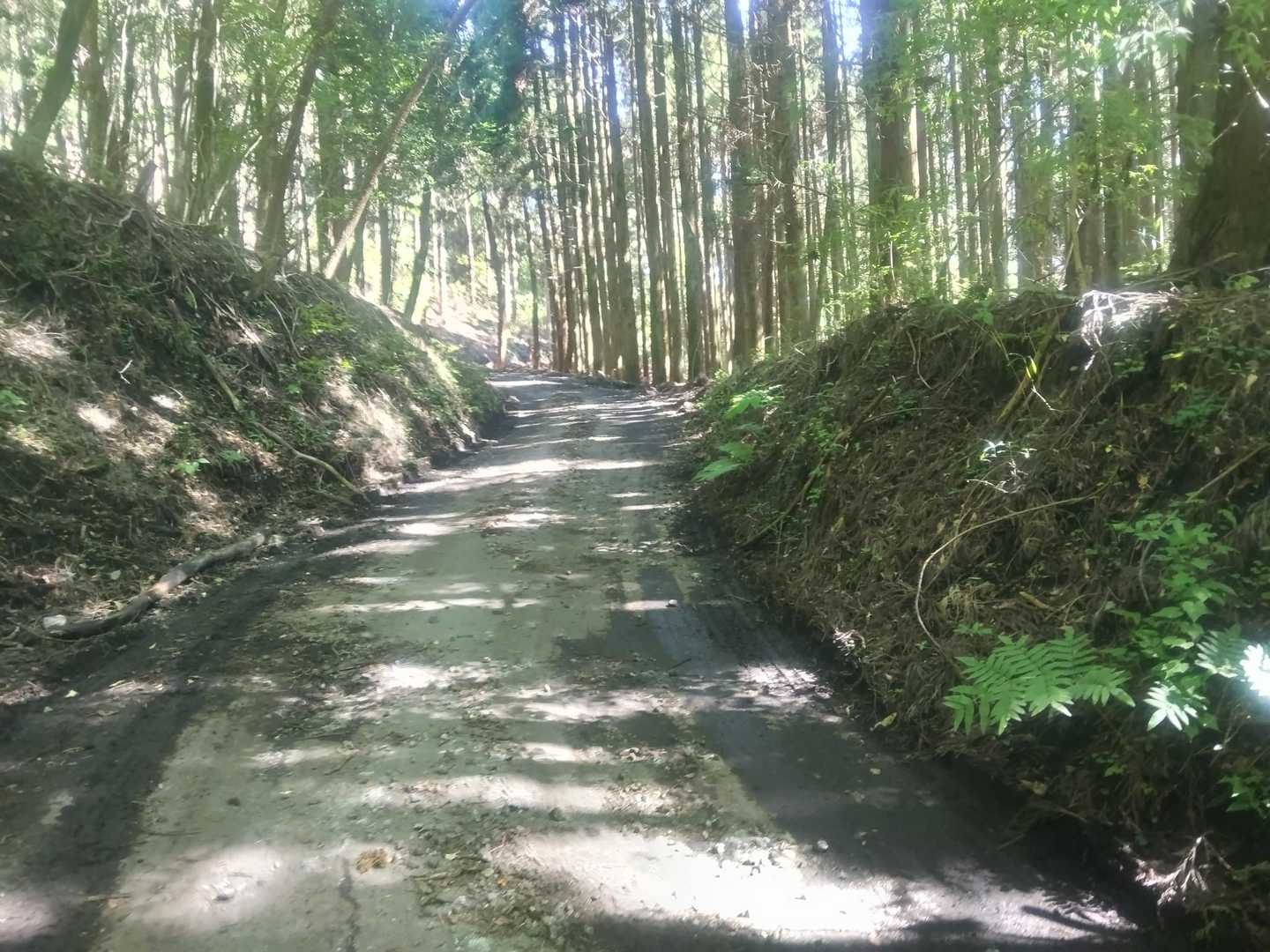 崩平山 往復コースの写真