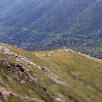相方は私の55分前に山頂に到着したらしく、虫まみれで汗冷えしていました🤣