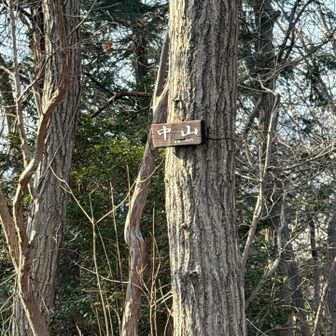 山頂。さて戻ります！