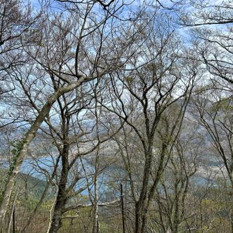 山頂からの眺望は… 木々が邪魔して今一つ。