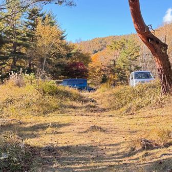 戻ってきた
朝より車は減ってた
