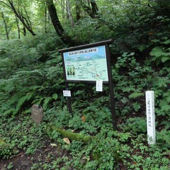 登山口　周回コースでいきます