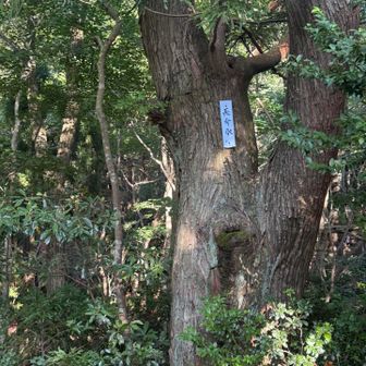 30分程で長命水の看板が出てきたのでそちらに進んでみる
