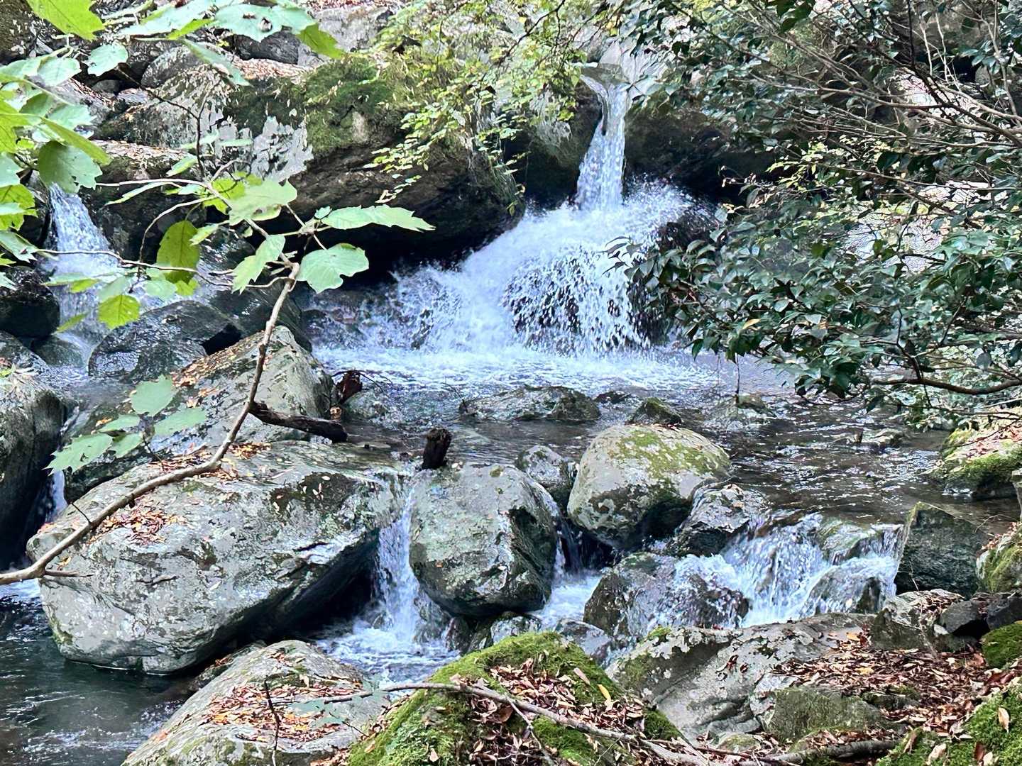 渓谷をキレイな水が流れて
次々と顔を出す大小の滝🥰