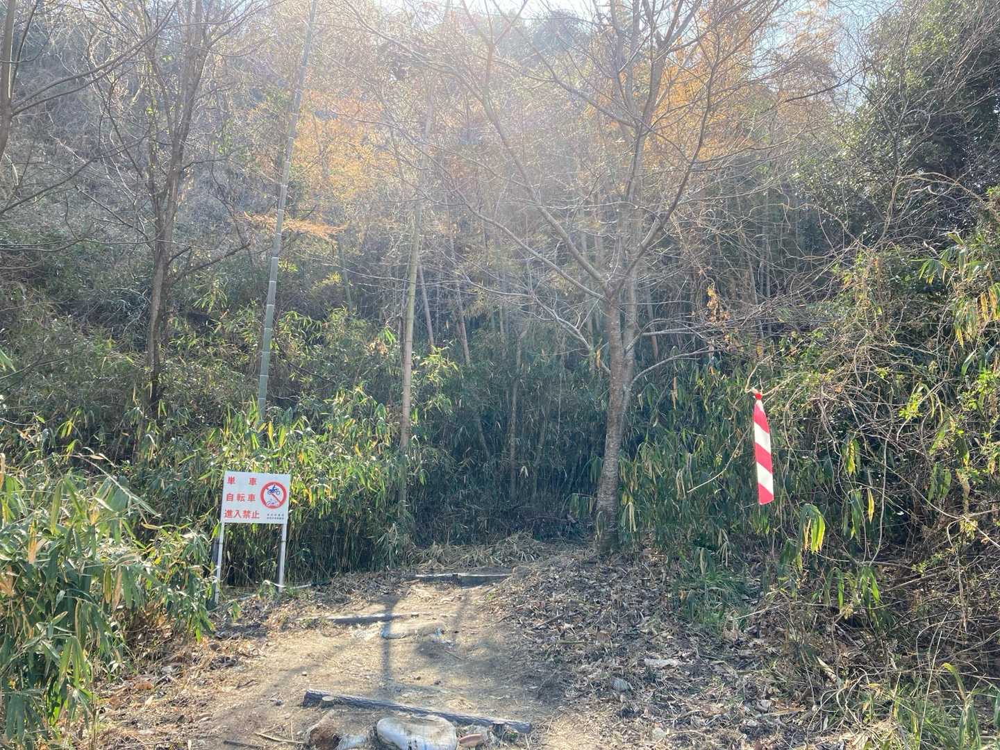 登山口まで舗装道路をガッツリ歩く。