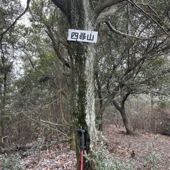 めちゃ急登でしたが、何とか四尋山登頂。
