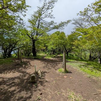 大室山の山頂は広いが、ベンチ等は1つもない…
