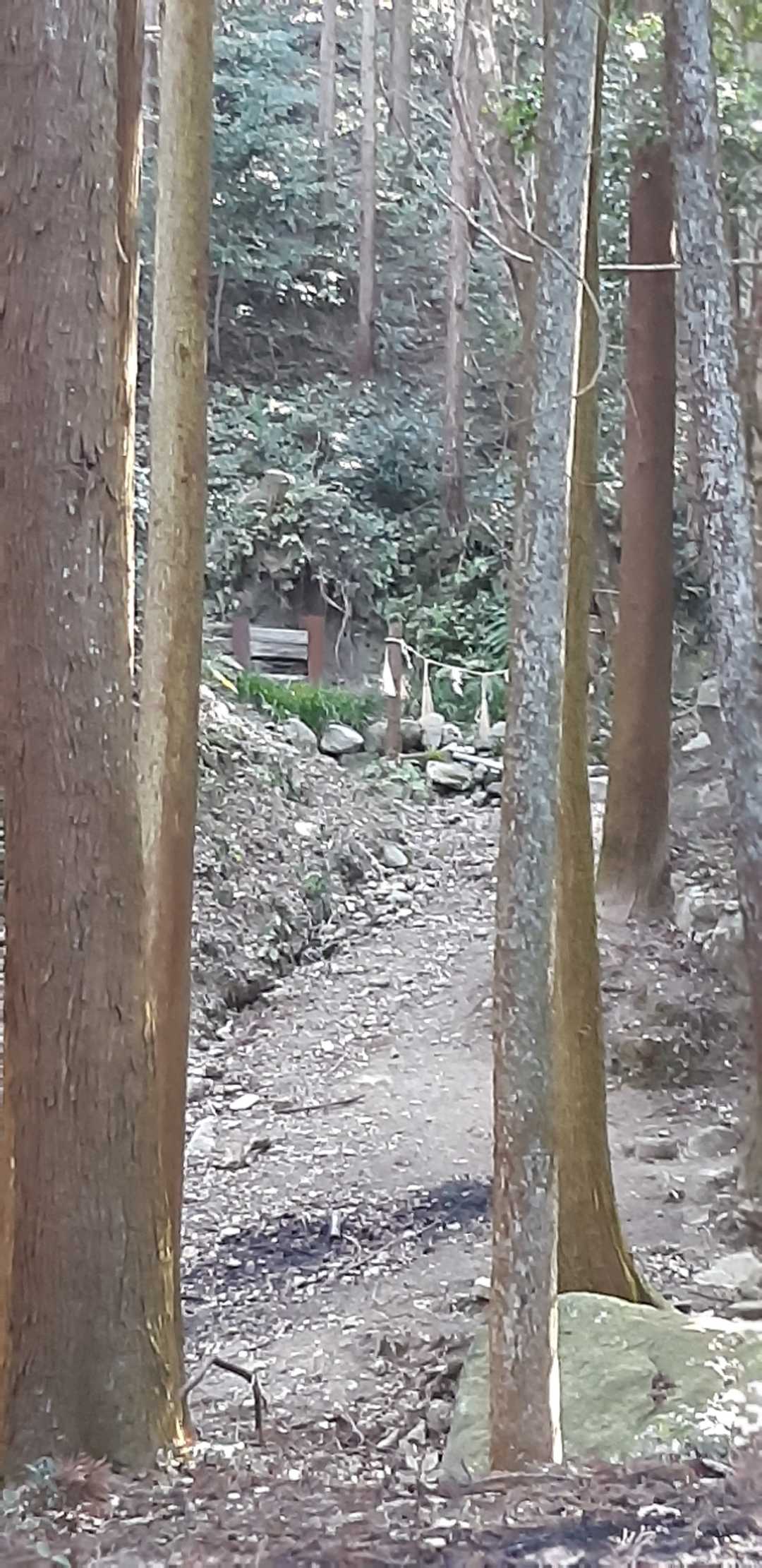 剣立山 往復コースの写真