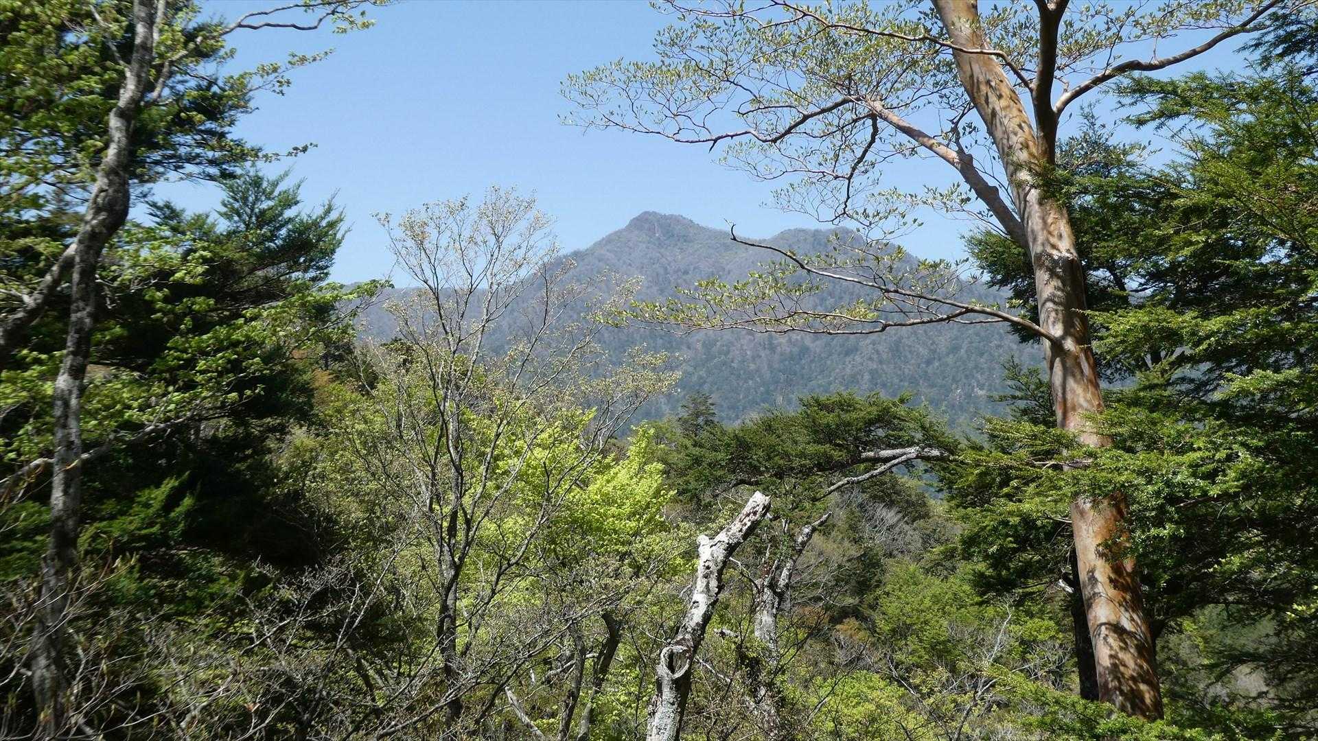 傾山