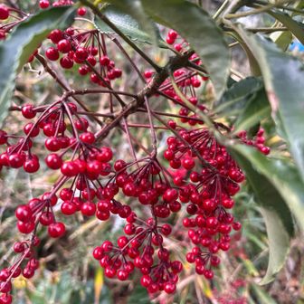 🔴🔴🔴🔴🔴😍