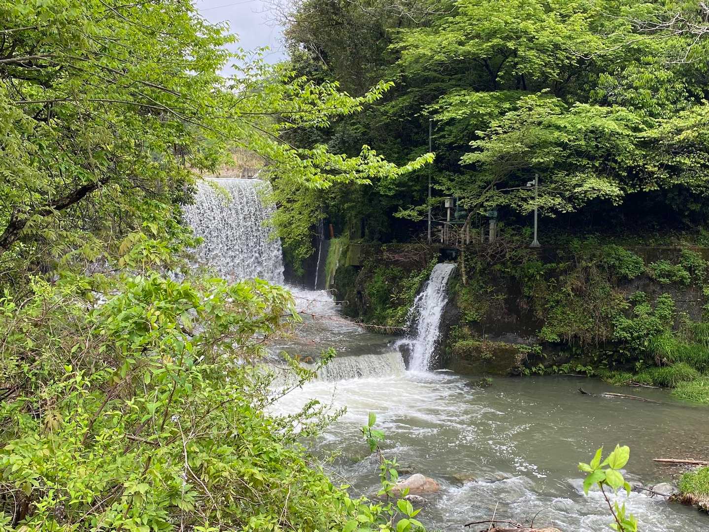 かなりの迫力です。