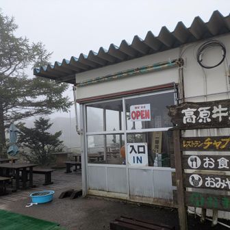チャップリンはお休み
水を張ったたらい🤔ブラシで
靴の泥汚れを落とします
レンタカーを汚さないように