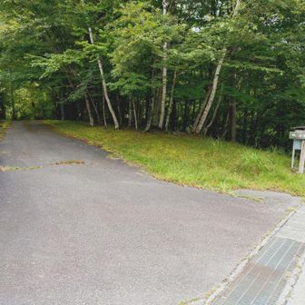 登山口