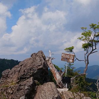 アセビの急登迷宮（土の傾斜）を抜けて、お姫山に戻って来ました。
そして、満を持して山頂の岩に登りました。