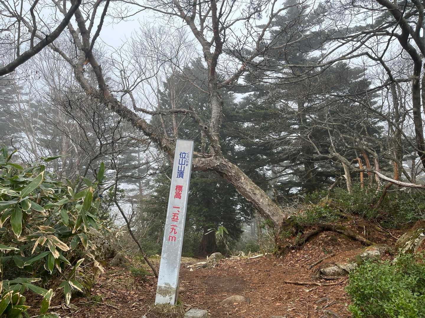 驚きの白さ