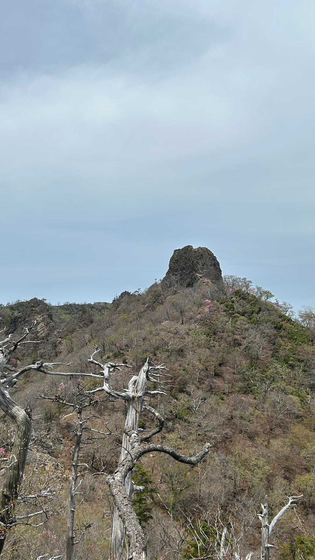 山頂でっぱってんなぁ⛰