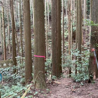 下山しましょう