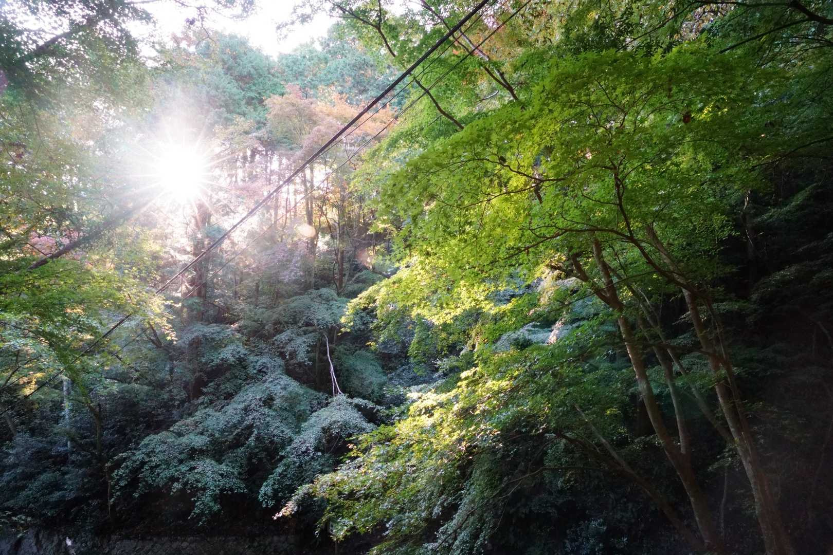 新神戸駅-滝山城跡登山口-再度越-諏訪神社 縦走コースの写真