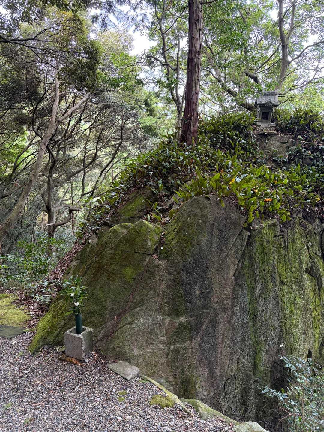 伊崎寺参道入口-伊崎寺-伊崎山 往復コースの写真