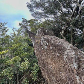 こうですか？
カブト虫？
エレファント？