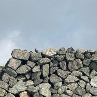 あの姿は！？