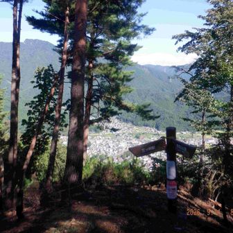 さすの平。
三ッ峠山(左の幹の間)、鶴ヶ鳥屋山(奥の稜線の右側)が見えた