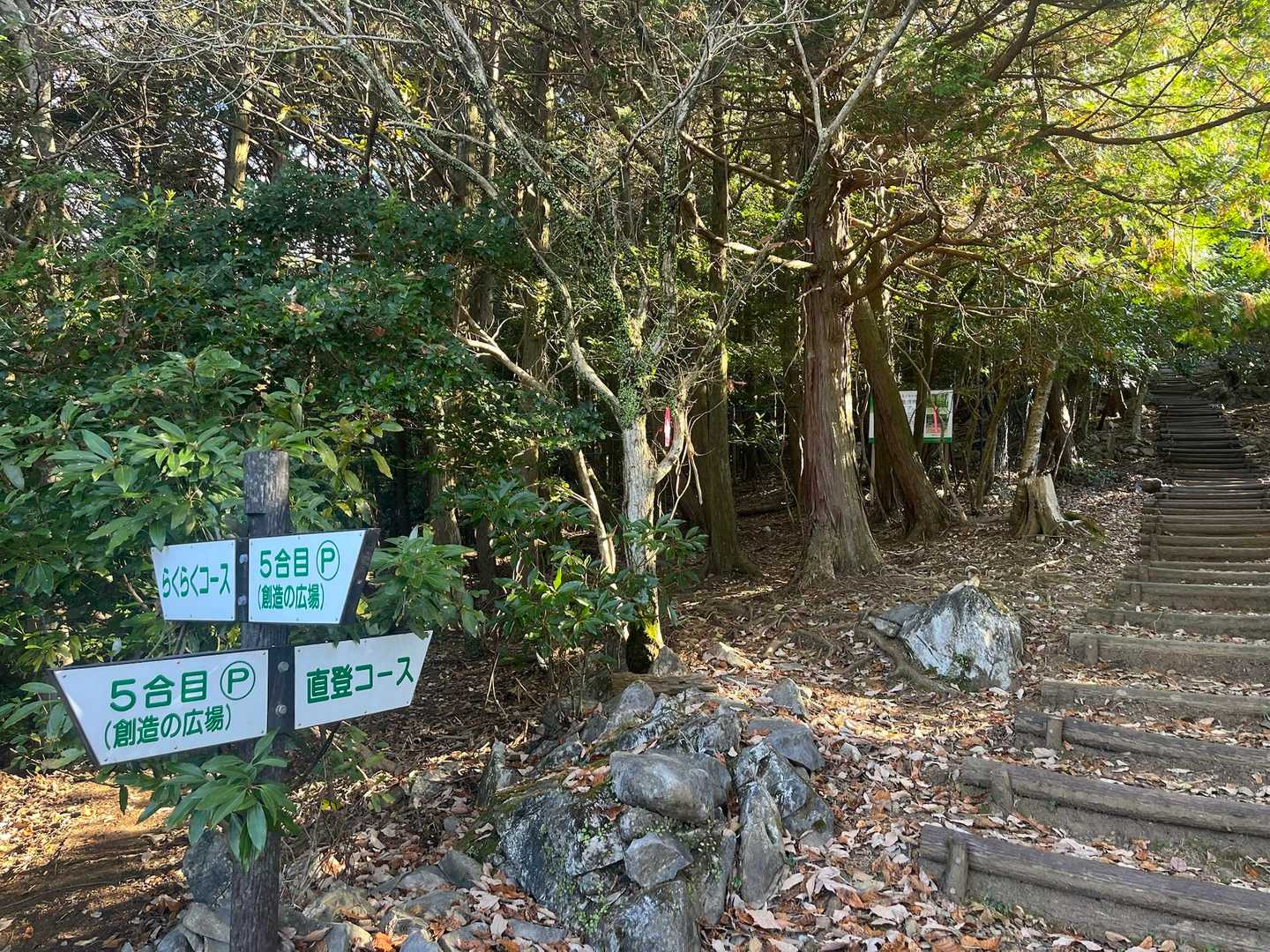 らくらくコースは帰りの楽しみにとっておこう
直登コースを行っちゃうよ〜ゼイゼイ