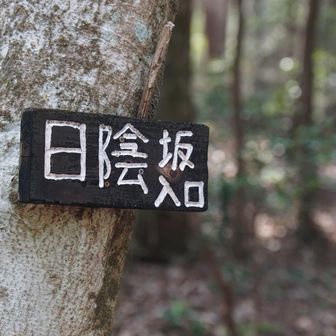 ここから山の中へ