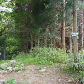 何基かの電波塔が建つ広場の、さらに南の奥の高まりに、湧出岳の三角点・1111.9m⛰️がありました。