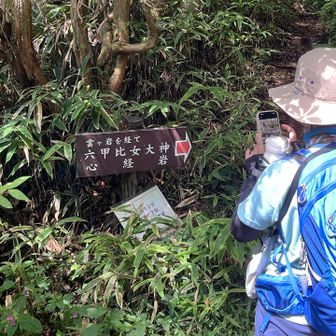 六甲比女大神に行ってみます
