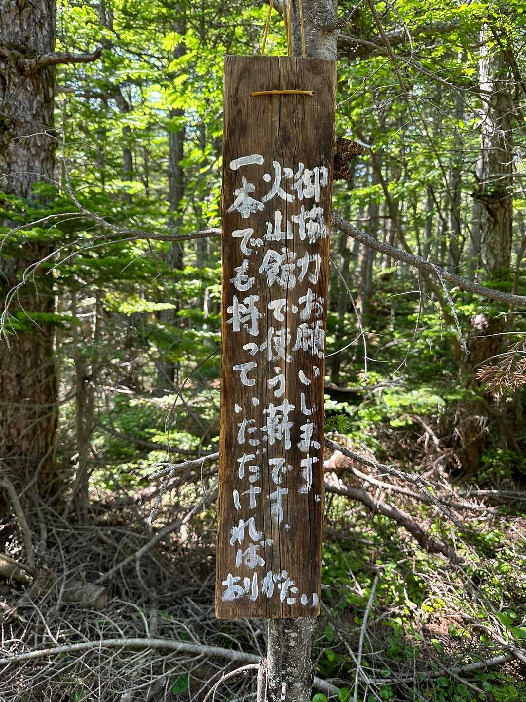 Ｊバンド分岐と草すべり分岐の途中にあります。
よろしくお願いします🙇‍♀️