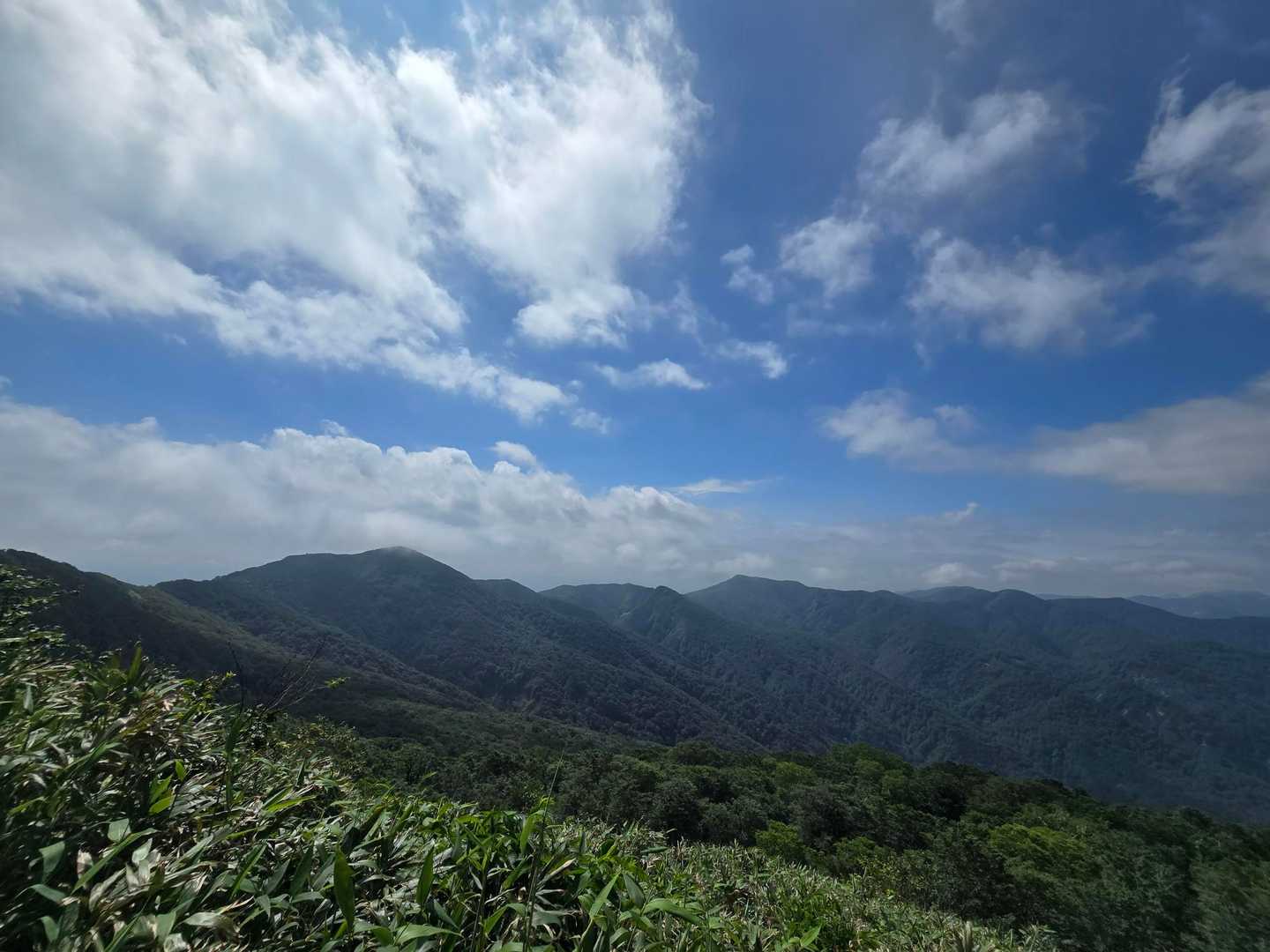 山頂を最後に見納め
今日もありがとうございました