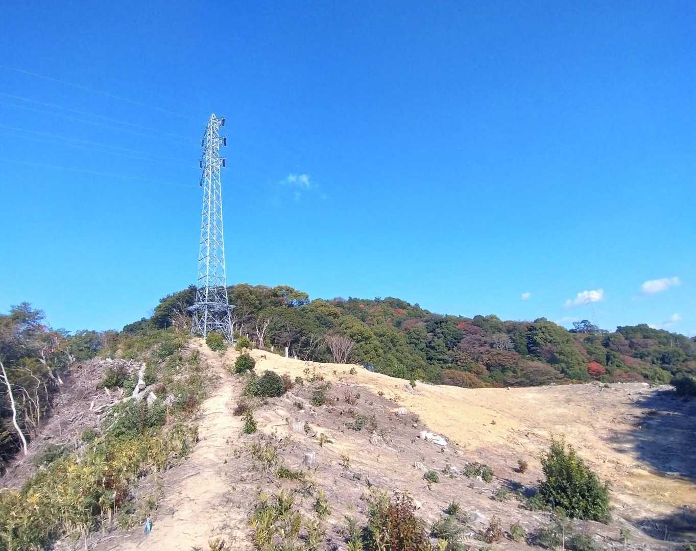 資材置き場の準備か、回りの木々が伐採されて広々としていました