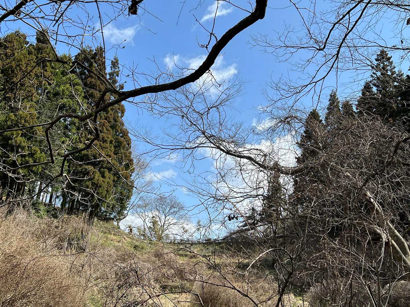 まだ青空なんですが・・⛅️