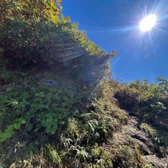 八ツ峰最初、地蔵岳への登り口。