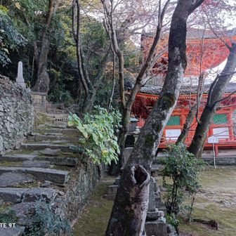 なので、ここからは、機内モードに切り替え、スマホのバックライトも最低限にして名草山に。

ヤマップ地図も見ない状態でスマホシャットダウンする前に名草山に登って、紀三井寺駅まで戻れるか？😆