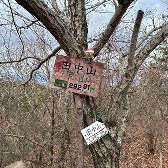 田中山⛰️山頂