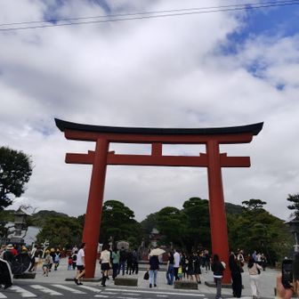 そして、鶴岡八幡宮
この鳥居⛩️　有名よね
