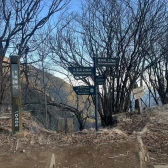 犬越路に到着。大室山と檜洞丸の分岐ポイント。