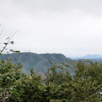 蕃山はまた今度