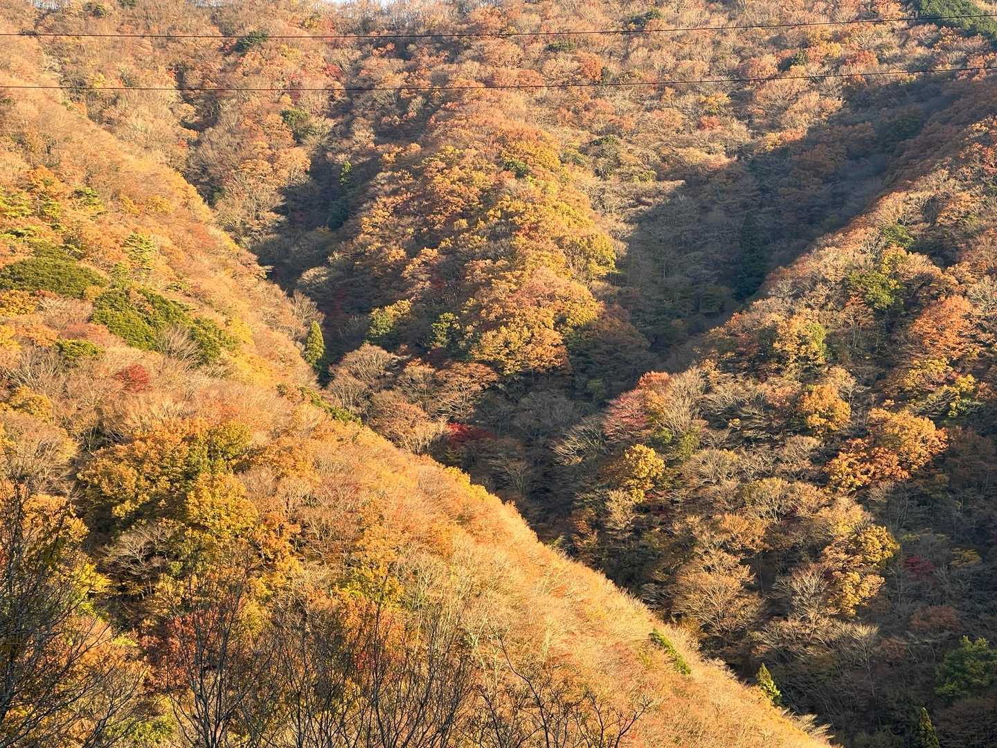 今日も砂利んとこの🅿️に停めて
三連休のまんなか
朝7時半到着で、半分以上埋まってました
