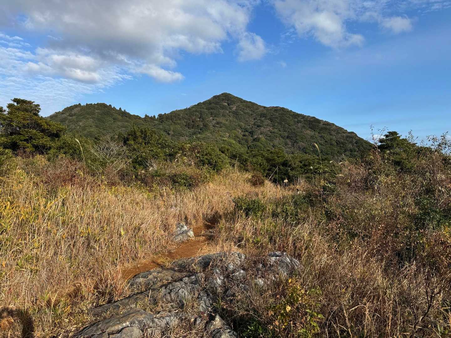 砲台山から見える足立山