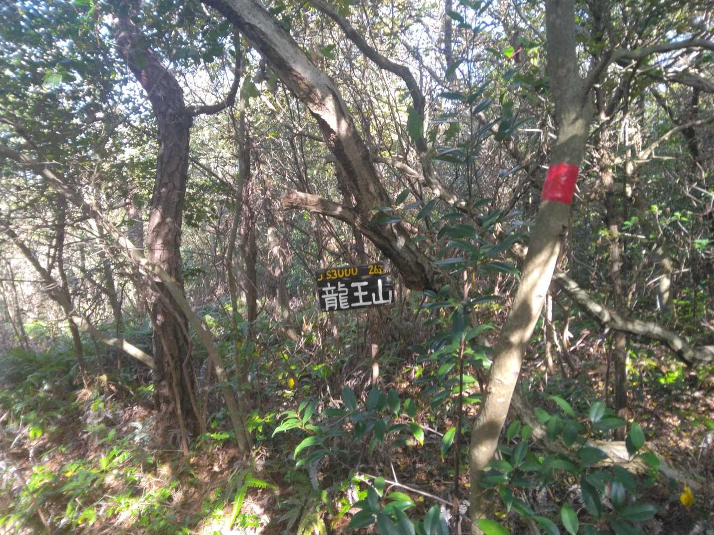 竜王山　去年は登れなかった