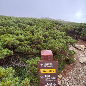 抜戸岳に寄ってから〜