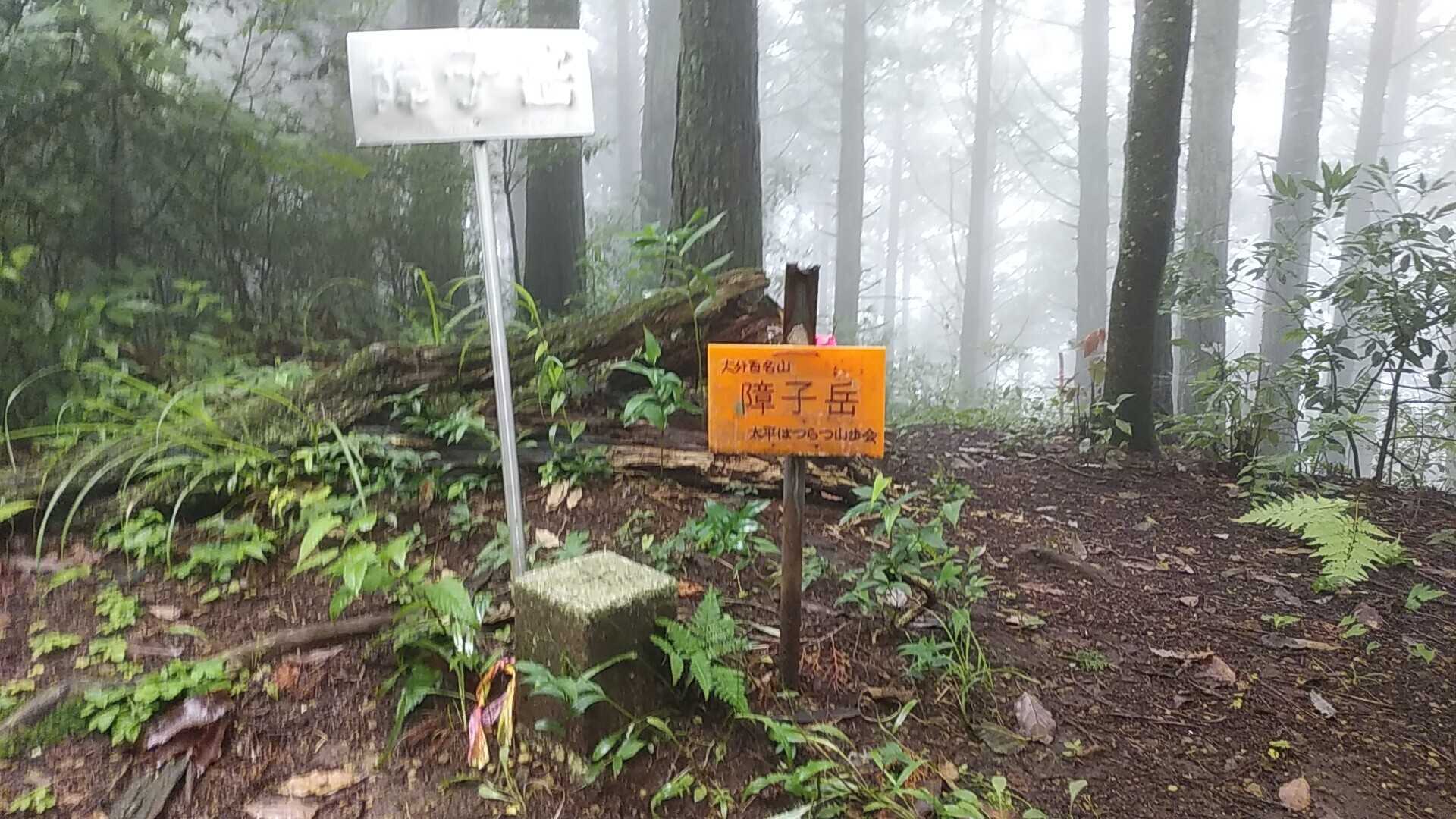 障子岳（大分県大分市）の写真