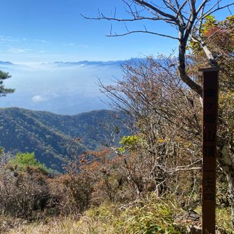 金ヶ岳山頂から