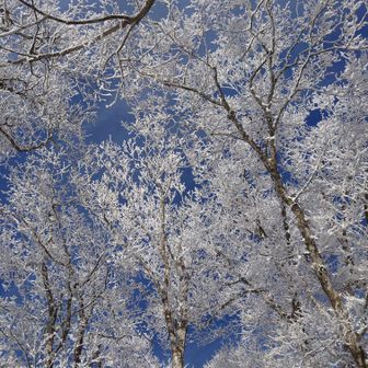 たまらんです🥰