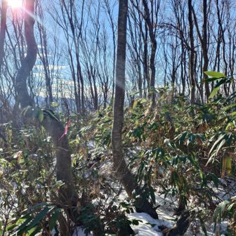まだまだ雪がないのでここまでですね
