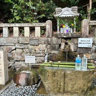 お水もしっかりいただきました♪